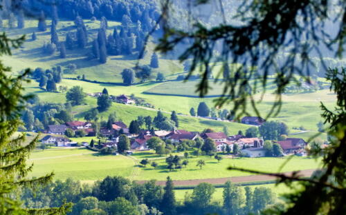 2017-08-26_eschert_automne_00003