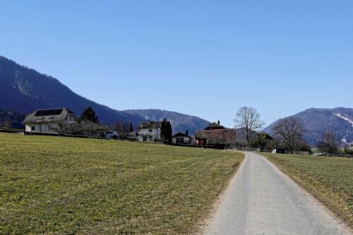2019-02-24_eschert_00009